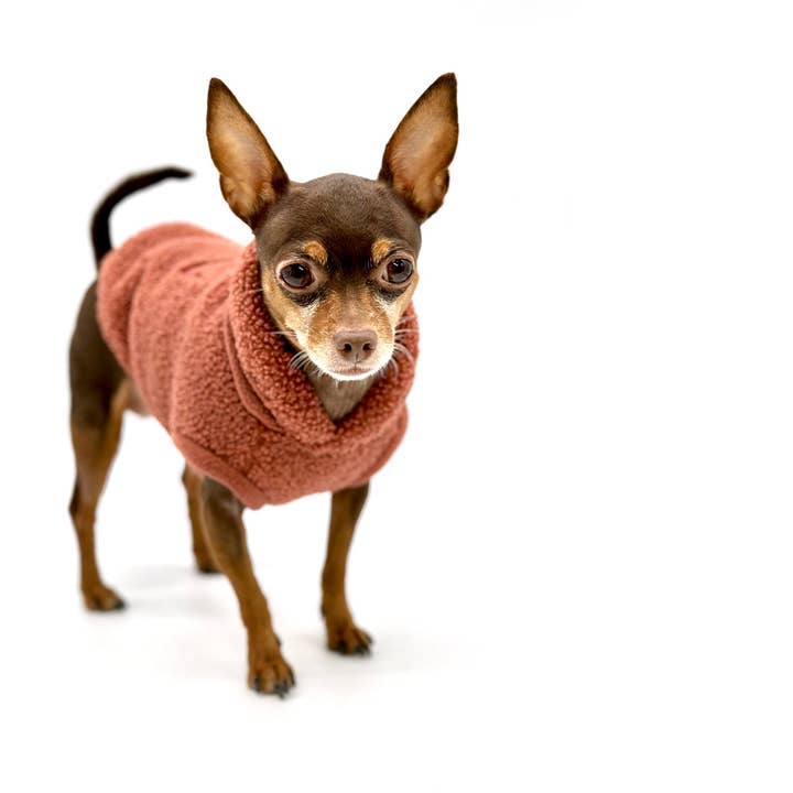 DoggieCoutureNY - Wholesale Pet Sweater - Dog - Cozy Sherpa Fleece Pullover - Rose