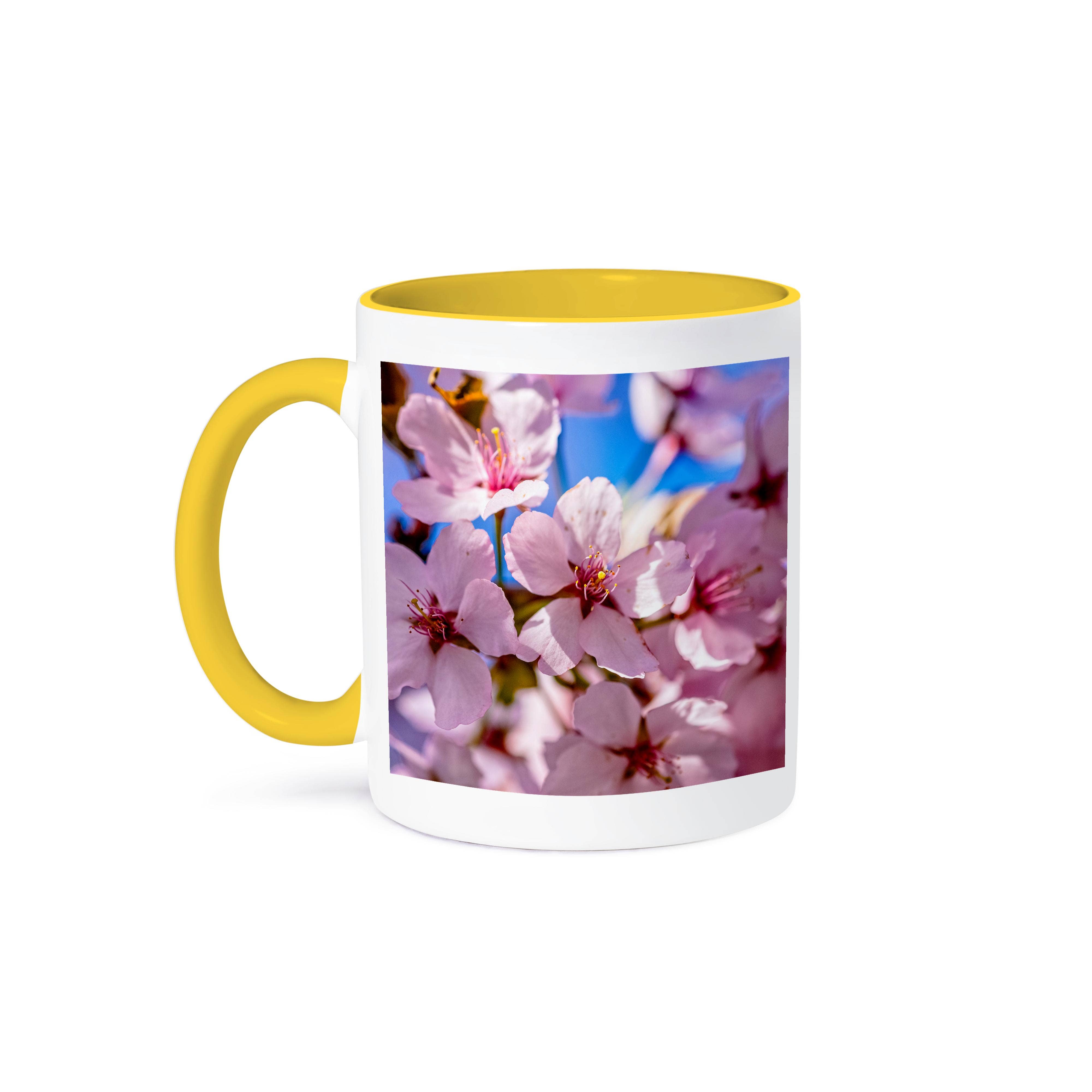 3dRose - Wholesale Coffee Mug - 3dRose, Bunch of pink sakura flowers. Hanami season at its height, Mug0
