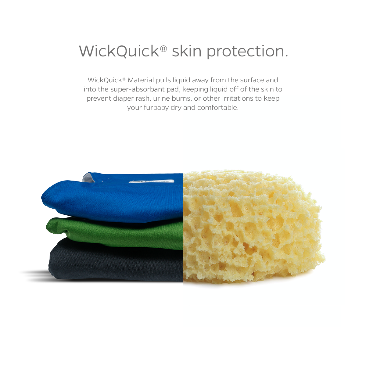 Pet Parents® - Wholesale Pet Diaper - Dog - Belly Bands + Extendrs®, Washable Dog Belly Bands3