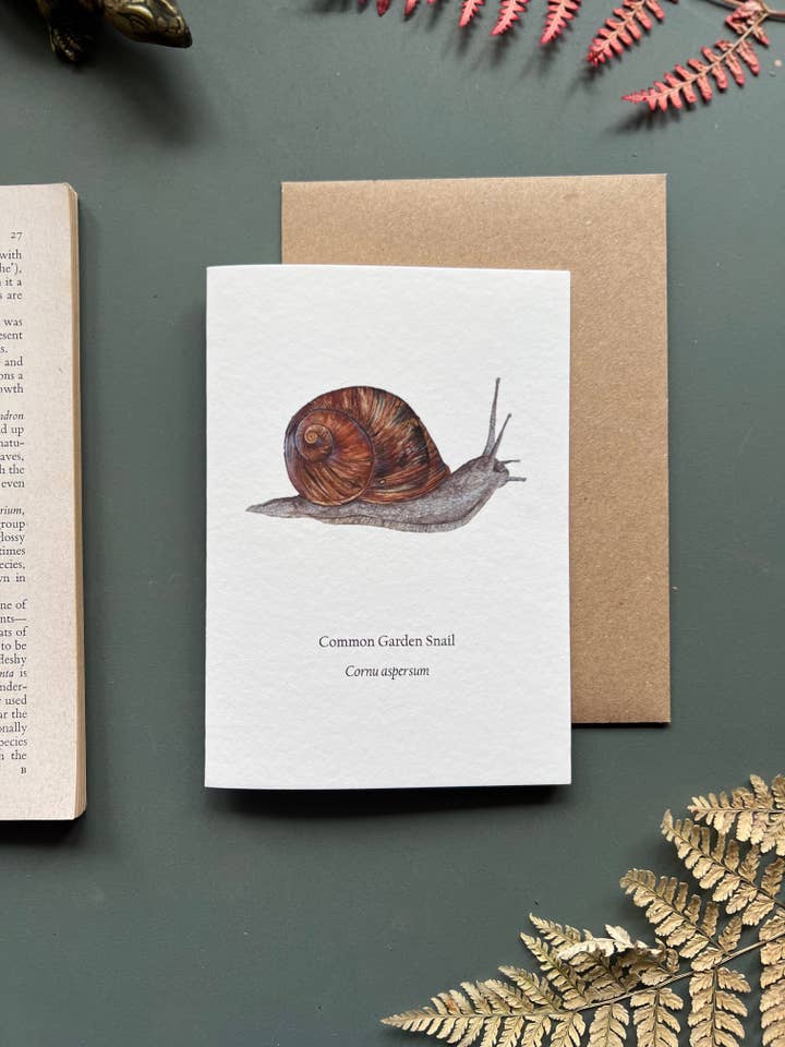 Garden Snail Card for wholesale by Tansy Moore