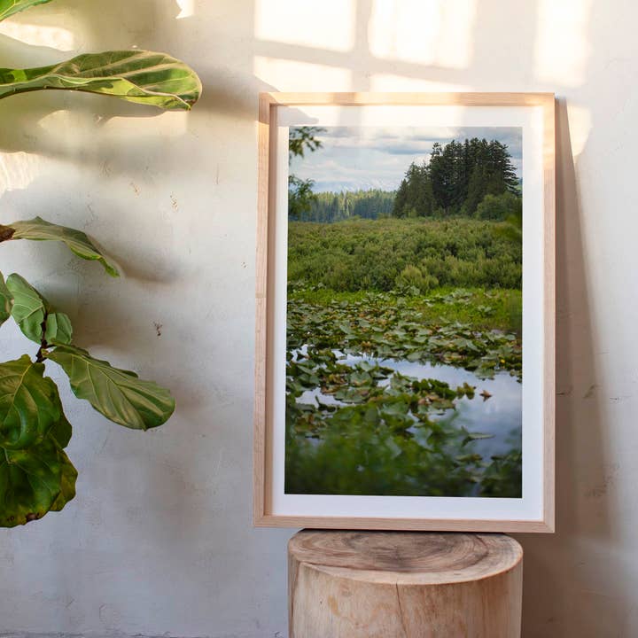 19 juin 2025 - Parc d'État de Seaquest, Washington pour la vente par Jess Gibbs Photography