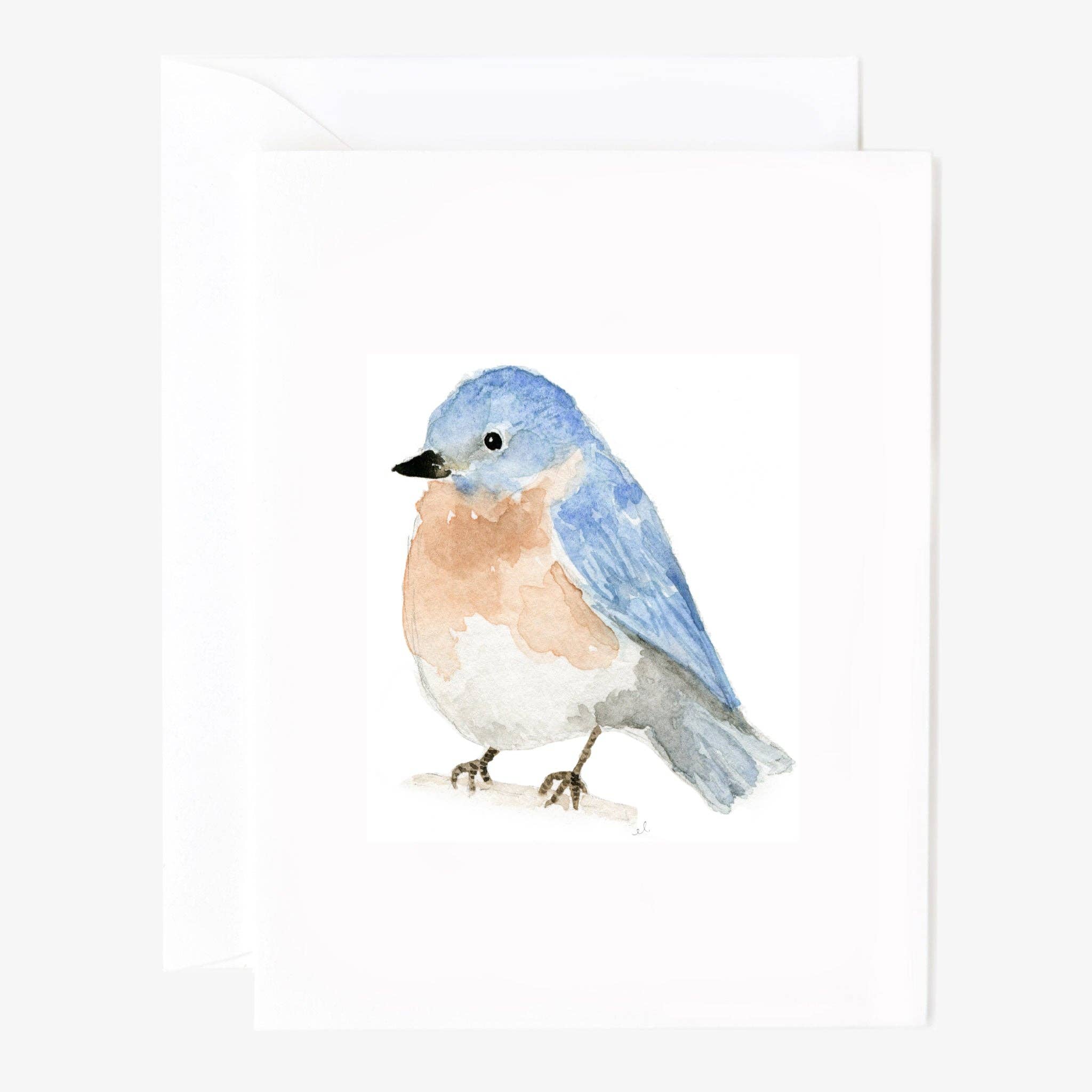 emily lex studio - Wholesale Stationery/Notecard Set - birds assorted notecard set1