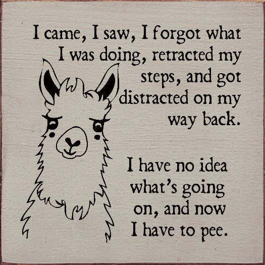 SAWDUST CITY - Wholesale Sign - I came, I saw, I forgot what I was doing, retracted my steps5