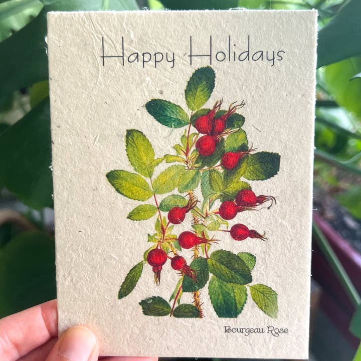Marissa Kay Apothecary - Wholesale Season's Greetings Card - Plantable Seed Card || Zero Waste || Supports Women MVW55