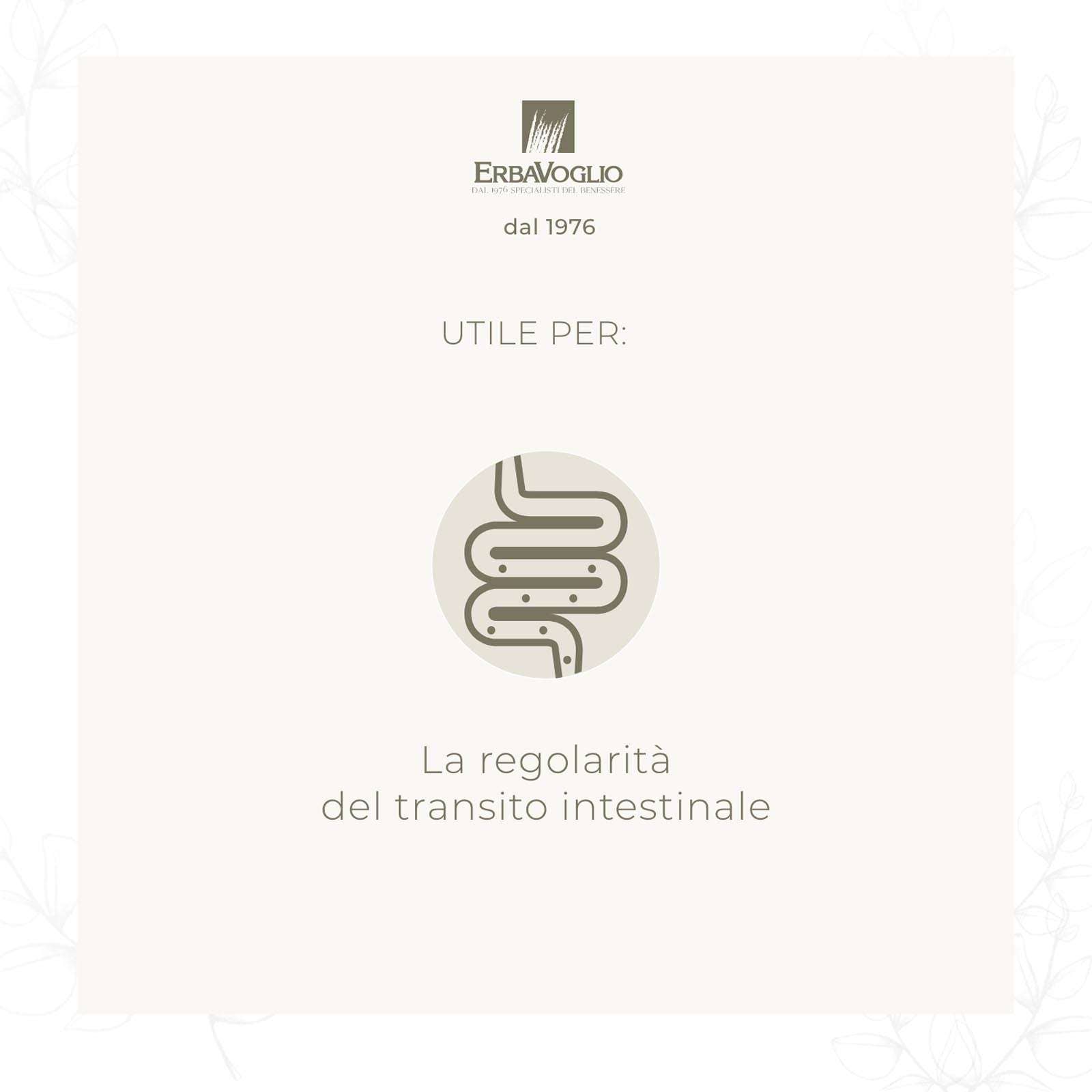 Erbavoglio – wholesale Oralt tillskott/Vitamin – Graviola kapslar1