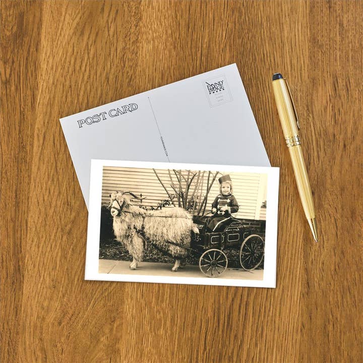 Found Image Press - Venta al por mayor Tarjeta postal - Postal AA-26 Niña con Tirabuzones en Carro de Cabra
