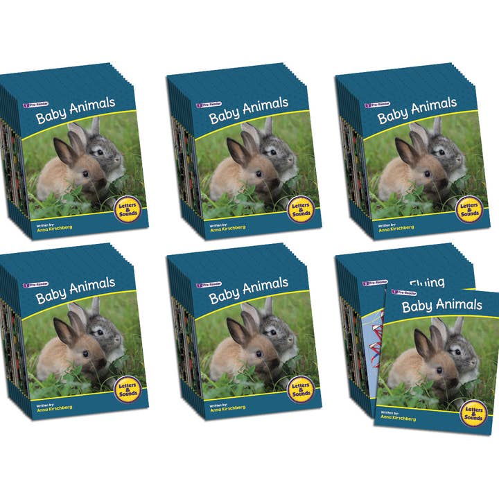 Lettere e Suoni Fase 1 Set 2 Saggistica - Confezione da 6 per la vendita all'ingrosso da parte di Junior Learning Inc.