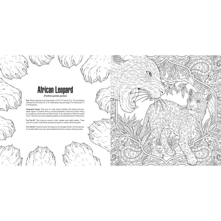 Penguin Random House LLC - Wholesale Coloring Book - Kids & Baby - Cats: A Smithsonian Coloring Book