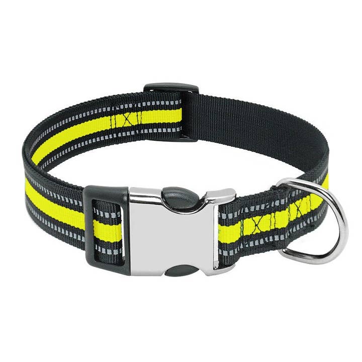 Paws & Son™ Activo - koiran kaulapanta para venta al por mayor de Paws & Son