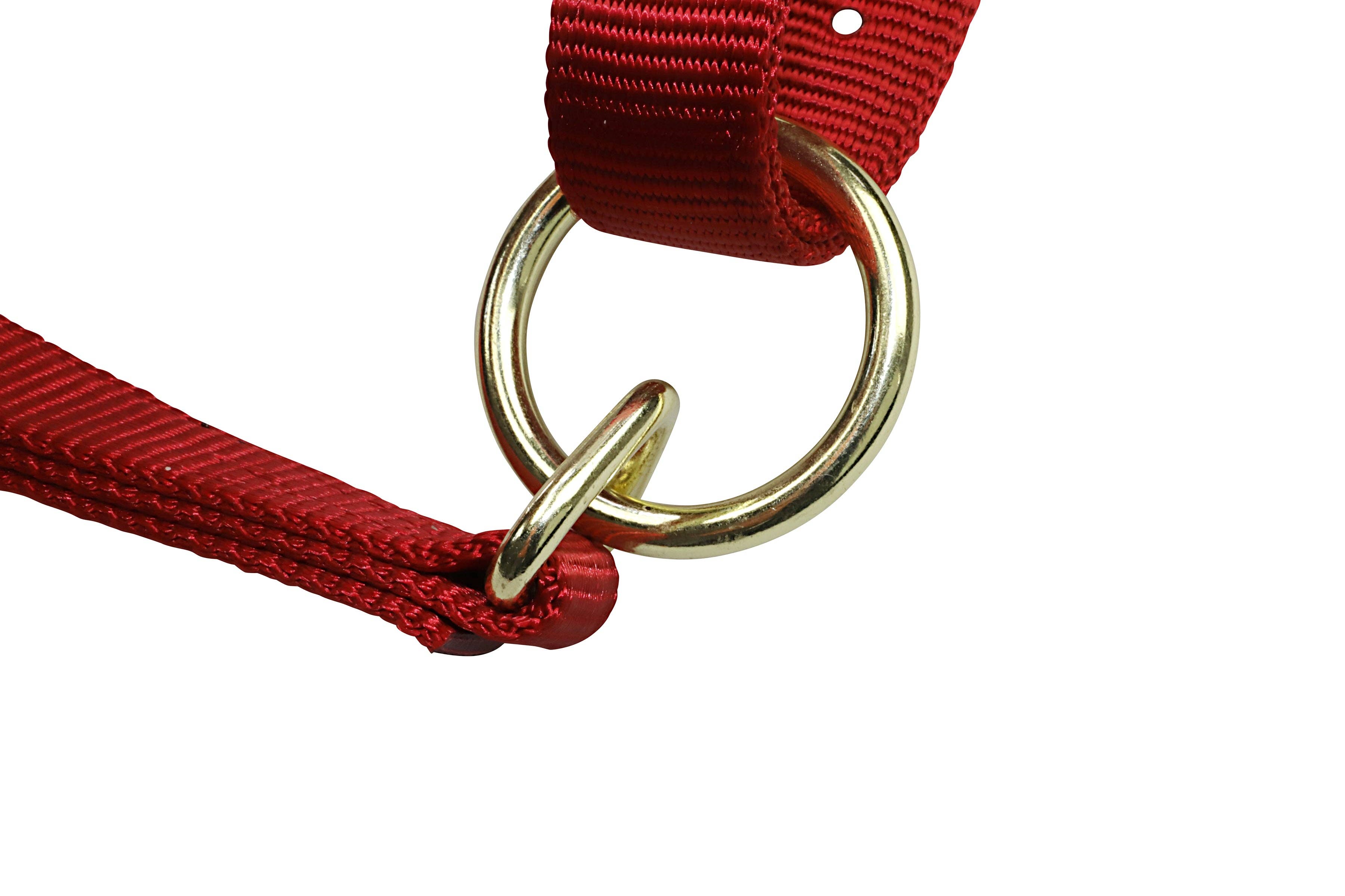 Grewal Equestrian - Wholesale Paardrijuitrusting - Nylon hoofdstellen voor paarden22