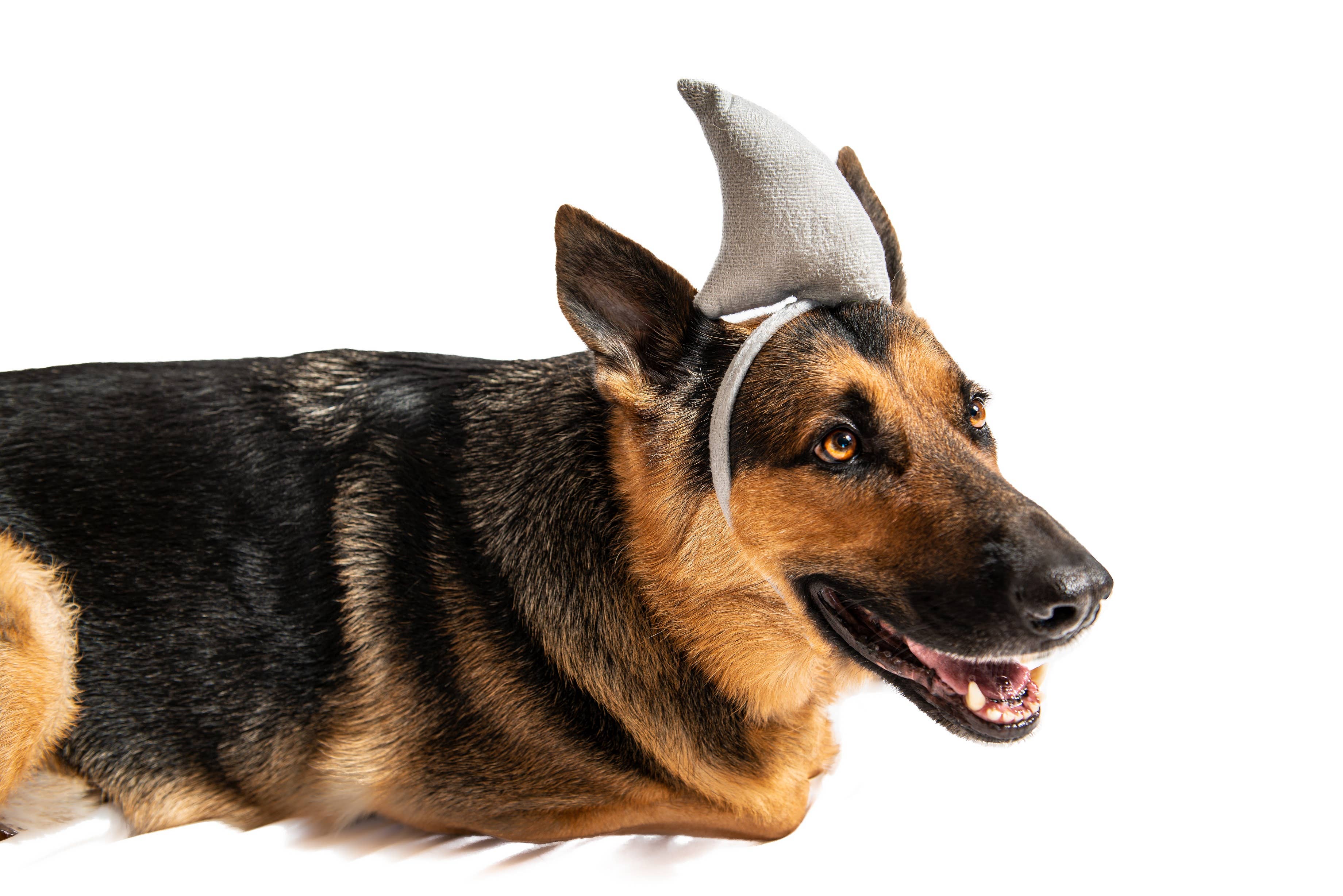 Midlee Designs – Disfarce – Gato e cão por atacado – Fantasia de cachorro de Halloween Midlee Shark vs. salva-vidas9