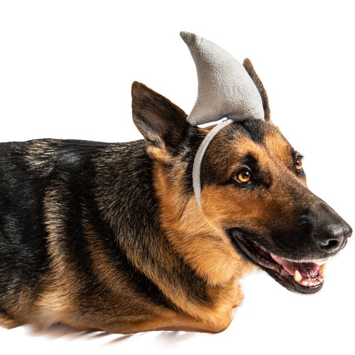 Midlee Designs – Disfarce – Gato e cão por atacado – Fantasia de cachorro de Halloween Midlee Shark vs. salva-vidas9