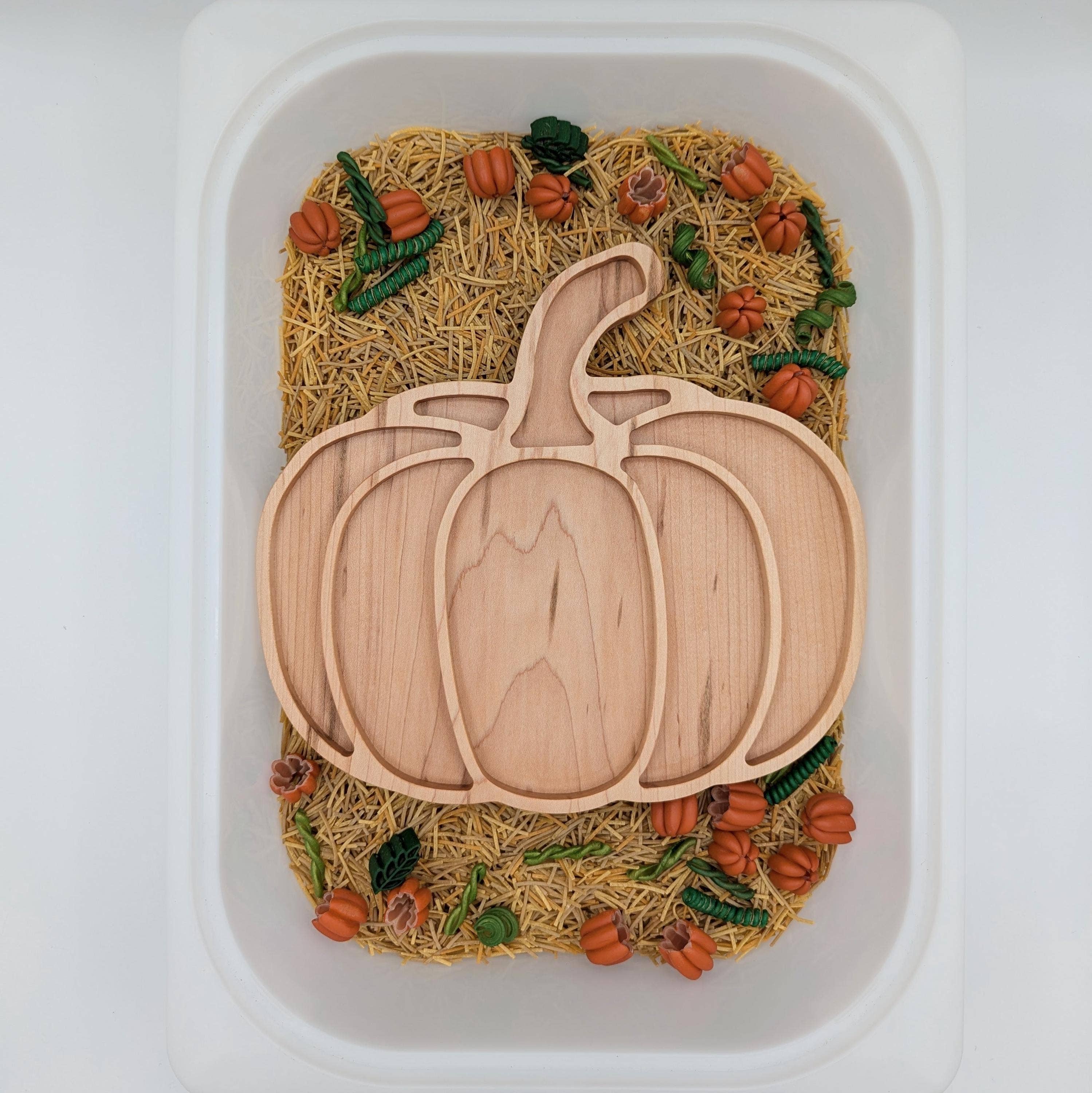 Carved Together Co - Wholesale Wood Toy - Kids - Pumpkin Sensory Play Tray - Large4