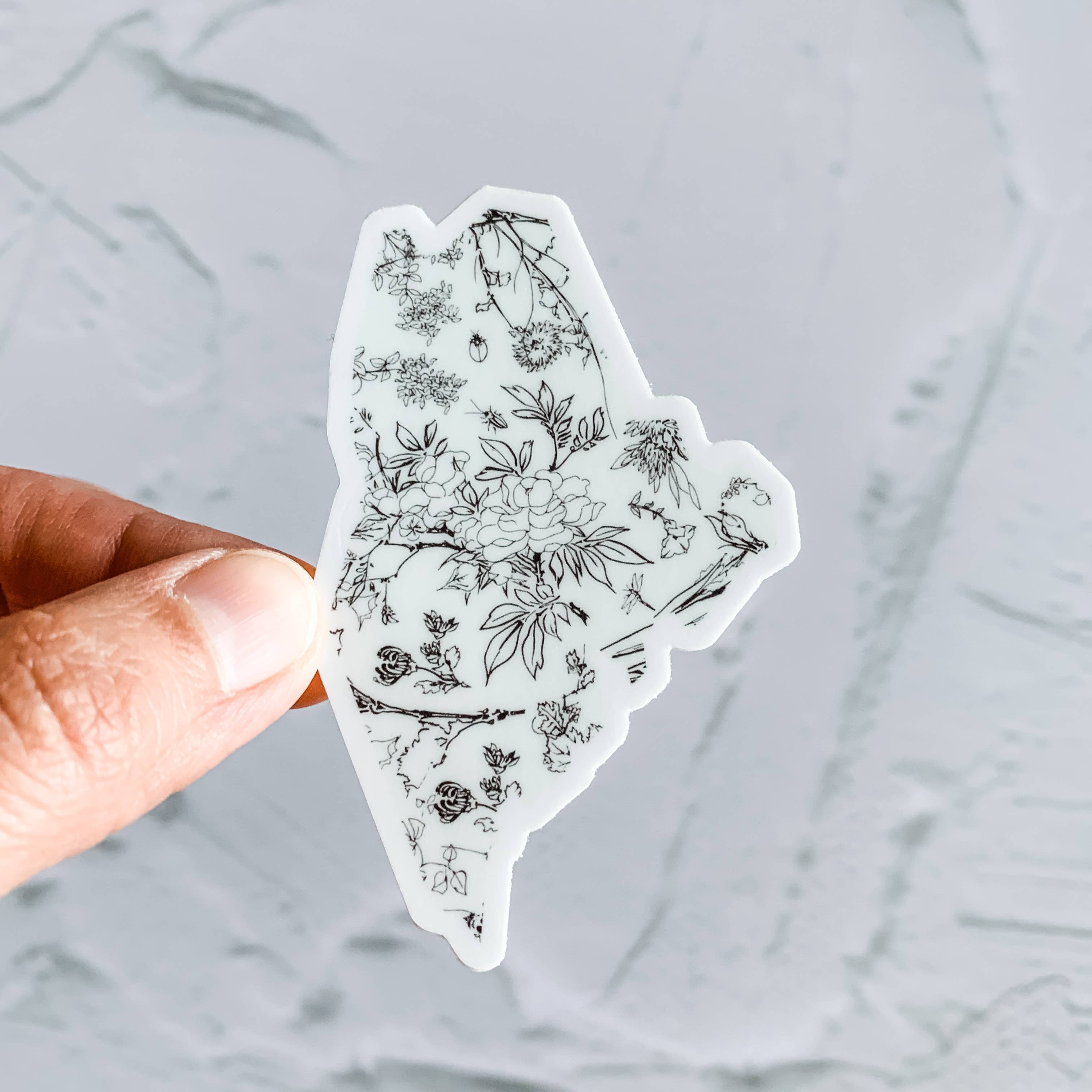 Wildflower Paper Company - Vente Autocollant - Pack de démarrage autocollant État du Maine2