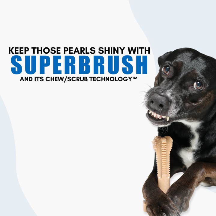 BulliBone - Wholesale Pet Chew Toy - Dog - SuperBrush - Apple Cinnamon8