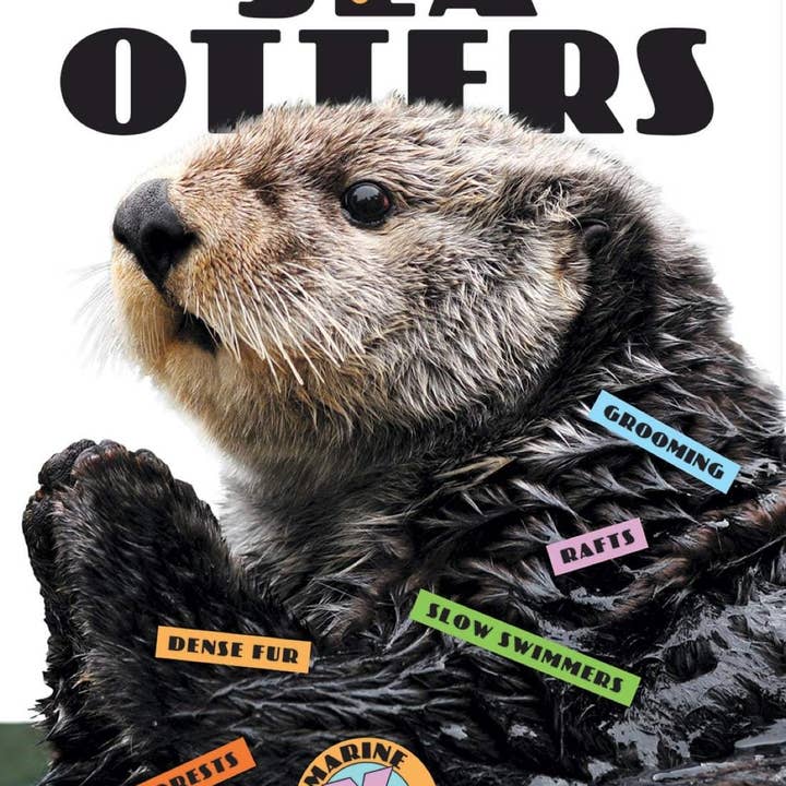 The Creative Company – Engroshandel Bog om natur og friluftsliv – X-Bøger: Havpattedyr: Havoddere