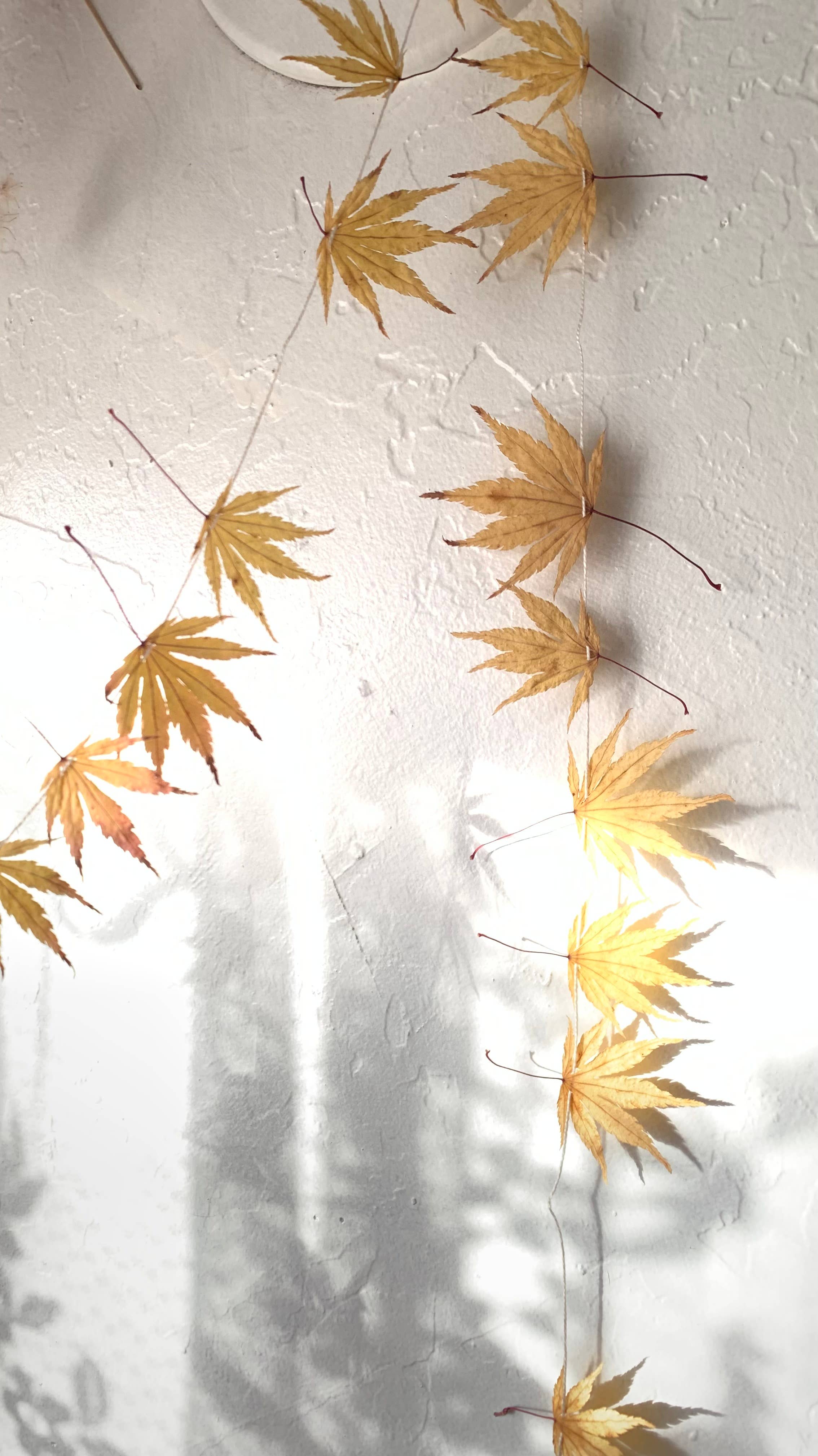 Twig and Snip - Wholesale Bunting/Garland - Dried Japanese Maple Leaf Garland GOLDEN- Natural Decor4