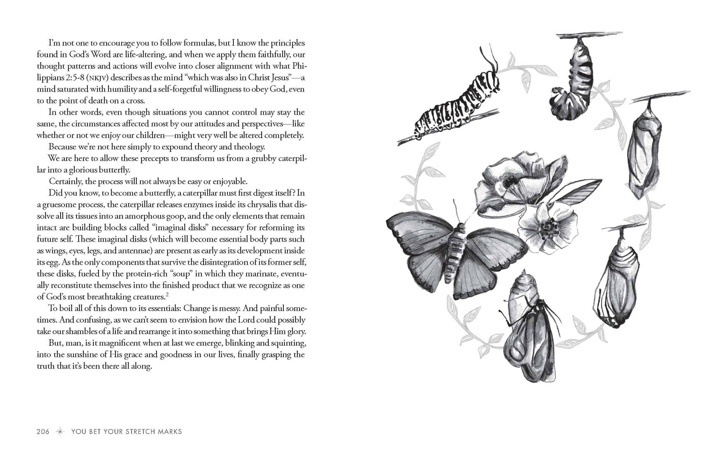 Harvest House Publishers Gift & Specialty Books - Wholesale Family & Relationships - You Bet Your Stretch Marks7