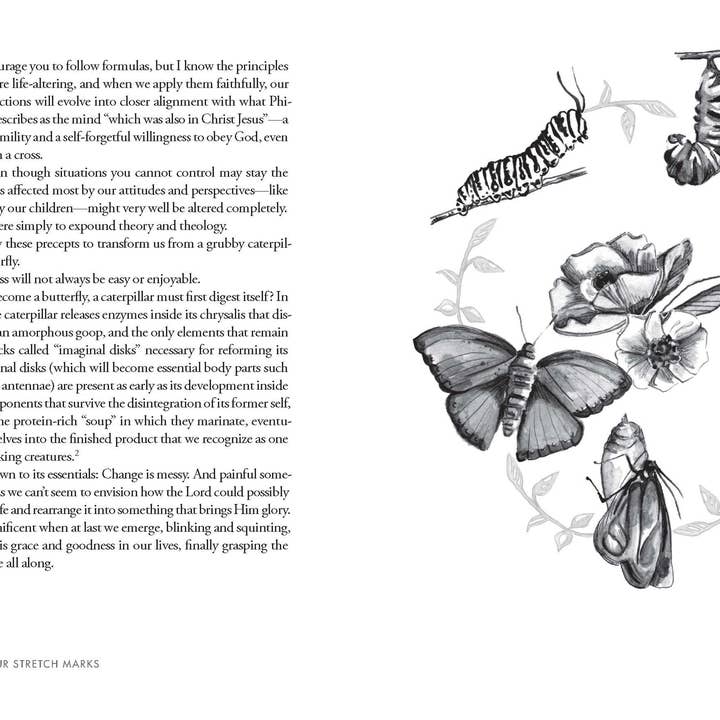 Harvest House Publishers Gift & Specialty Books - Wholesale Family & Relationships - You Bet Your Stretch Marks7