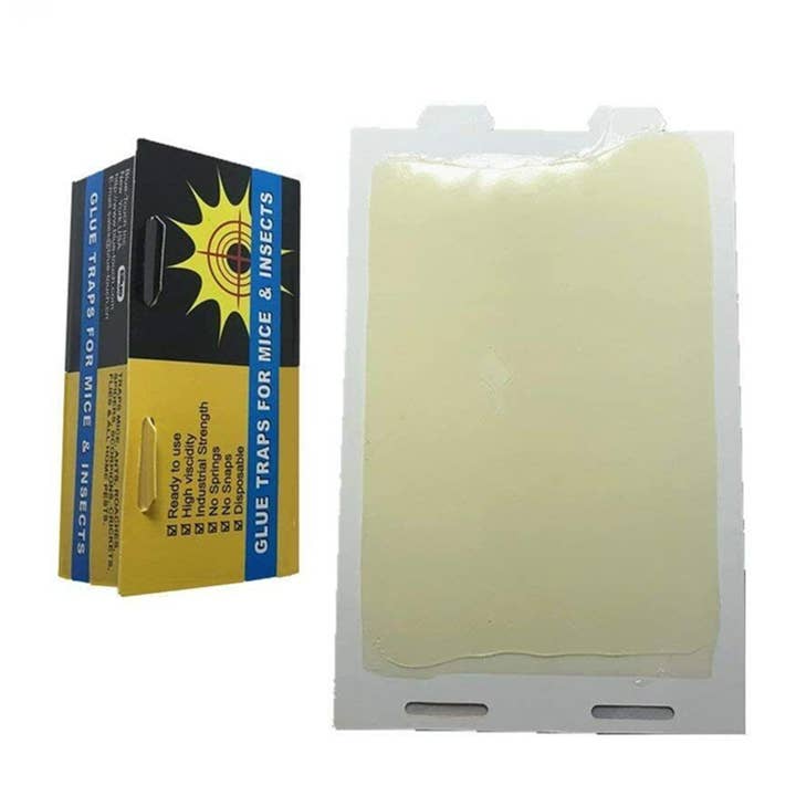 Tsyware - Wholesale Pet Supplement - Not Cat/Dog - Blue Touch Sticky Mouse Traps, Mouse Glue Board Professional1