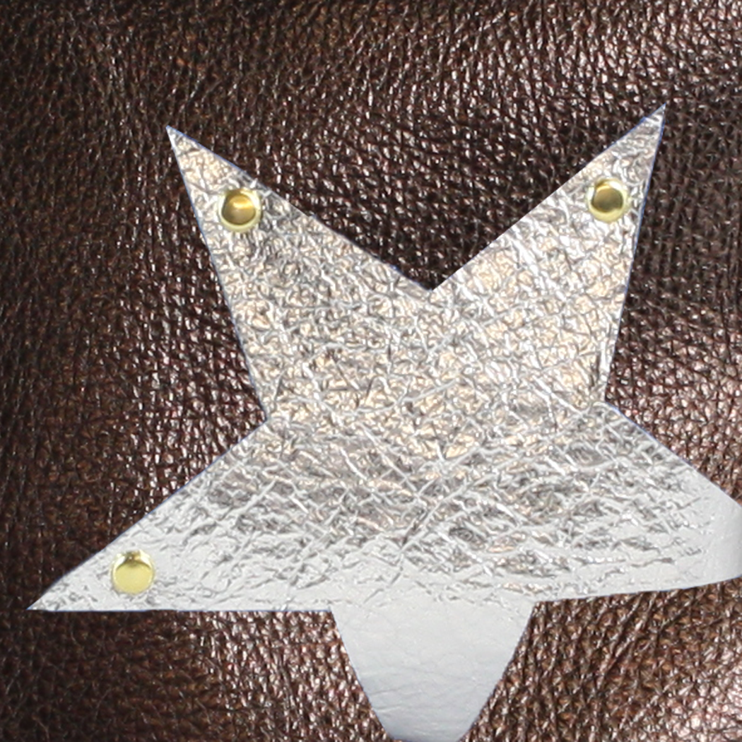 Zina Kao Exclusives - Wholesale Belt Bag - Women's - The Metallic Vail Hipbag w/Star Applique21