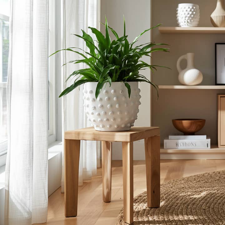 Sagebrook Home - Wholesale Plant Pot - Ceramic Bubble Rough Finish Garden Planter - White, 8 in.2