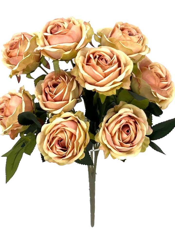 R.ROSAS X9 SALMÓN 45cm para venta al por mayor de Aguilar Málaga