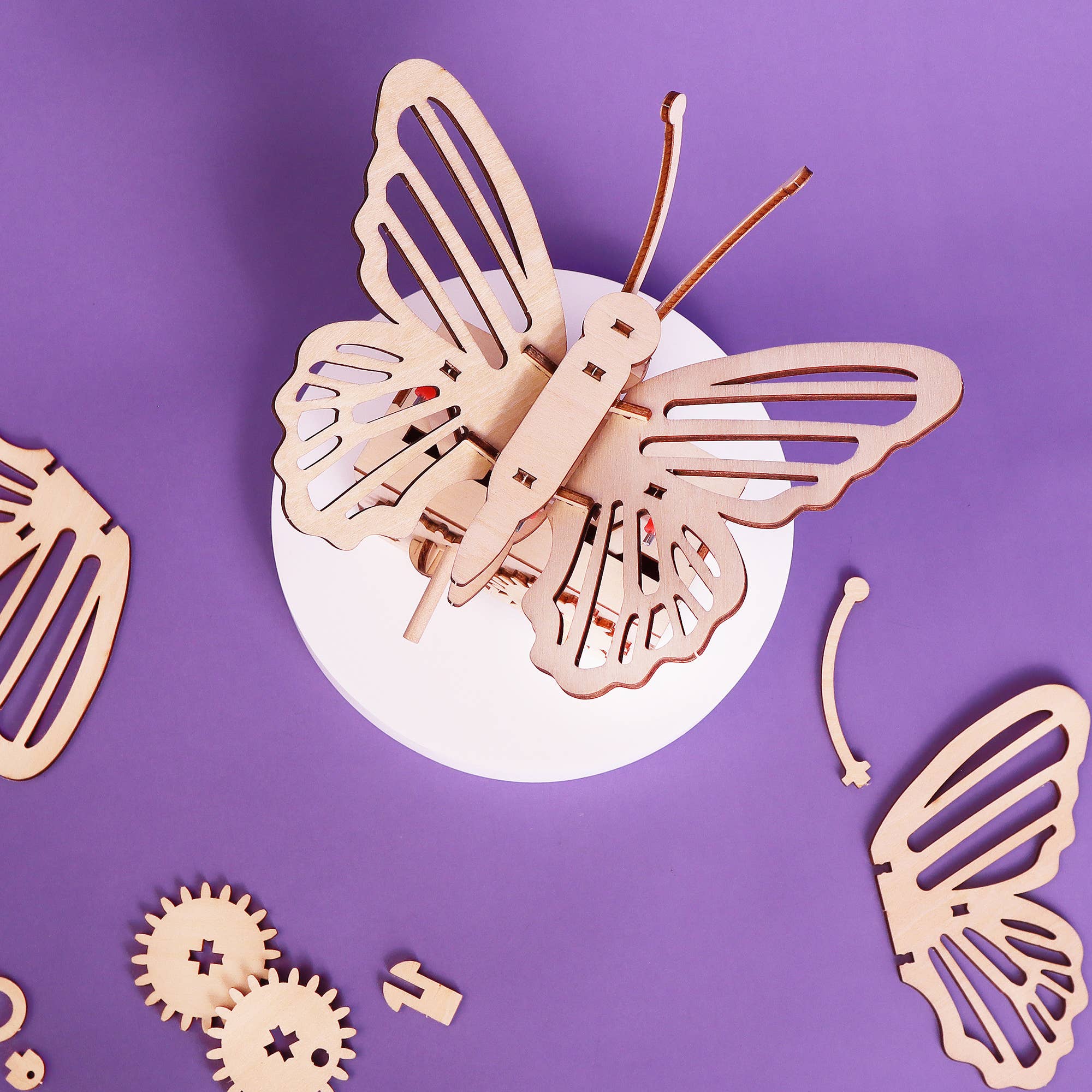 Kitsville – Großhandel Bastelset – Kinder – Bastelset „Flatternder Schmetterling“, pädagogisches STEM-Spielzeug für Kinder5