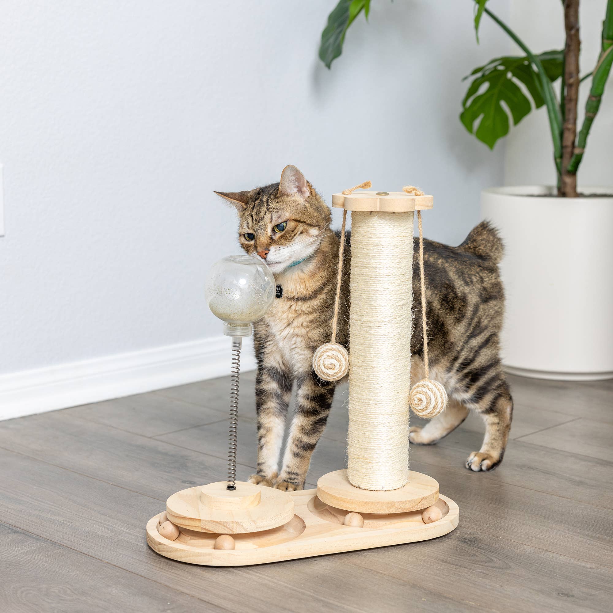 Armarkat - Wholesale Pet Scratcher - Cat - Interactive Scratch Post and Activity Center -- The Ultimate3