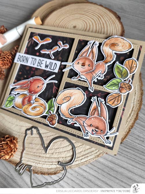 Impronte D'Autore - Wholesale Rubber/Decorative Stamp - Clear polymer stamps Nutty Explorers3