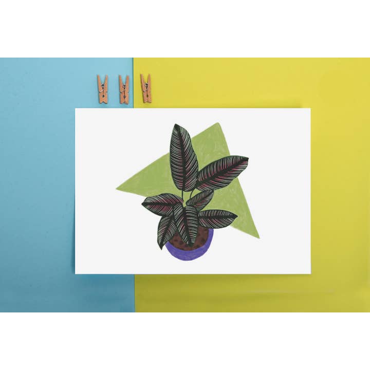 Impressão Calathea por atacado de Livvy Rose Studio