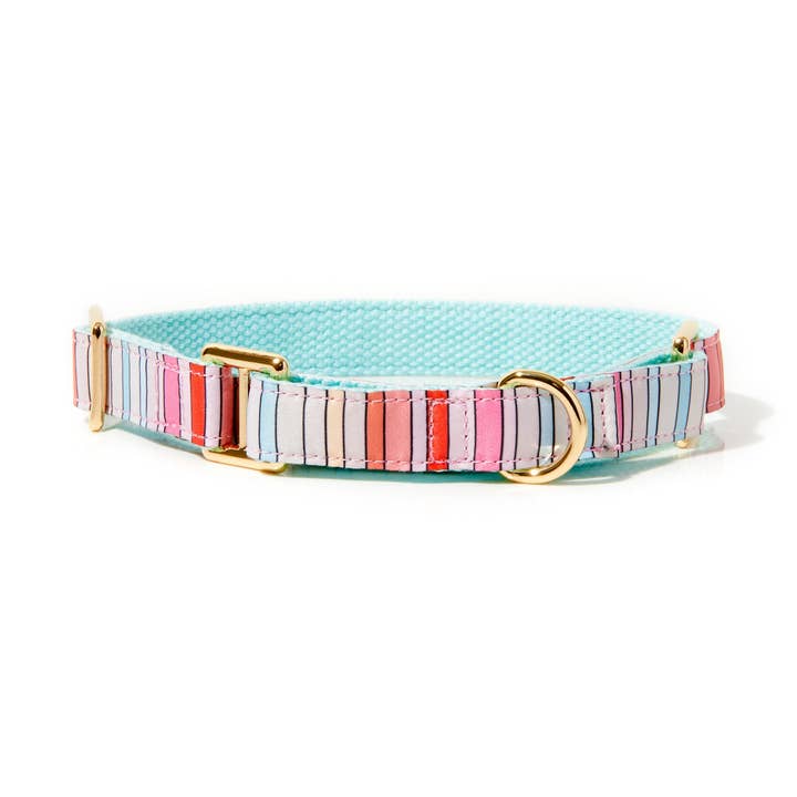 BRANDI STRIPE MARTINGALE DOG COLLAR for wholesale by Roxy & Co. Canine Accessories