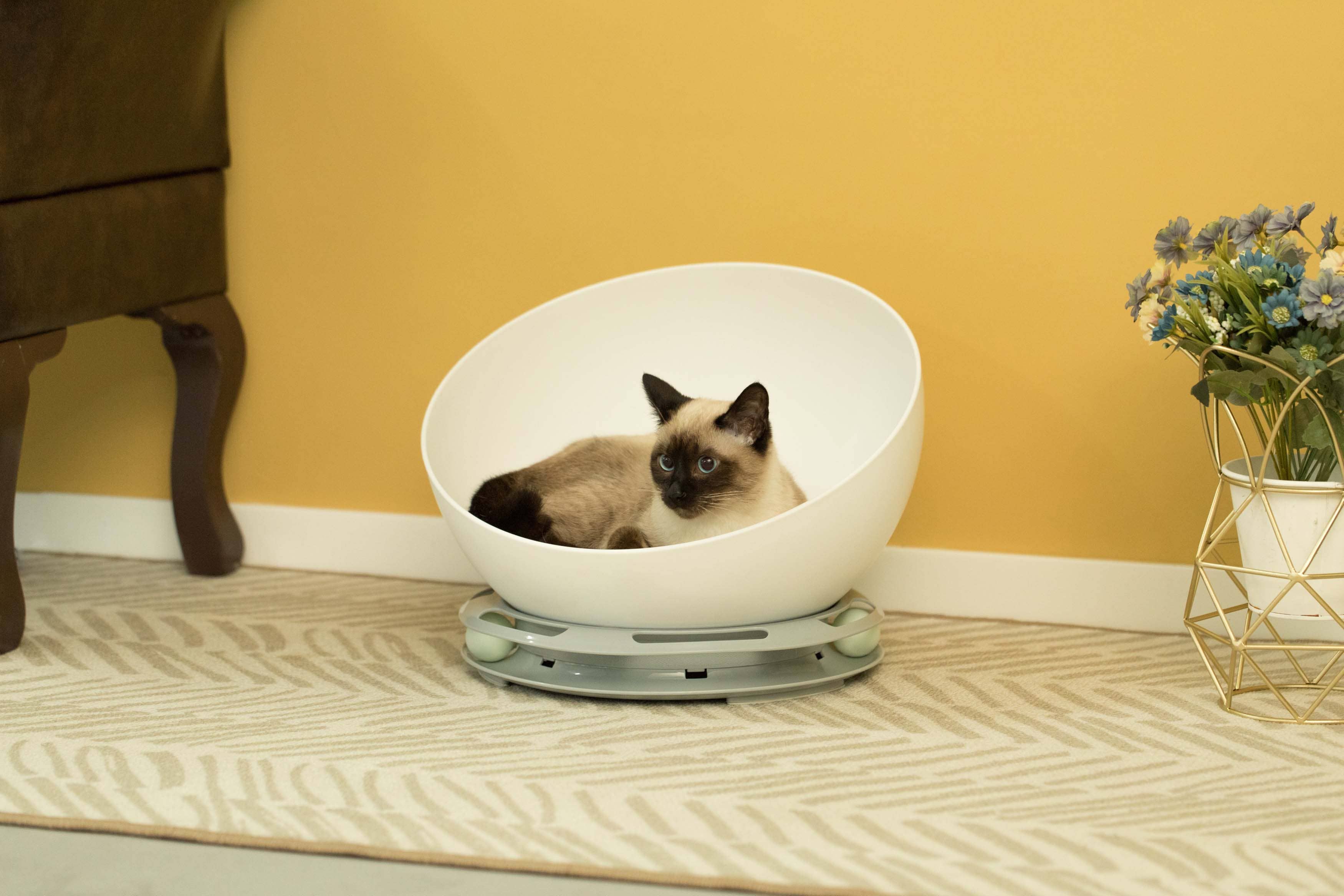 Quickway Imports - Wholesale Pet Bed - Cat/Dog - Plastic Bowl Shaped Sleeping Bed House Cat Cave Lounge6