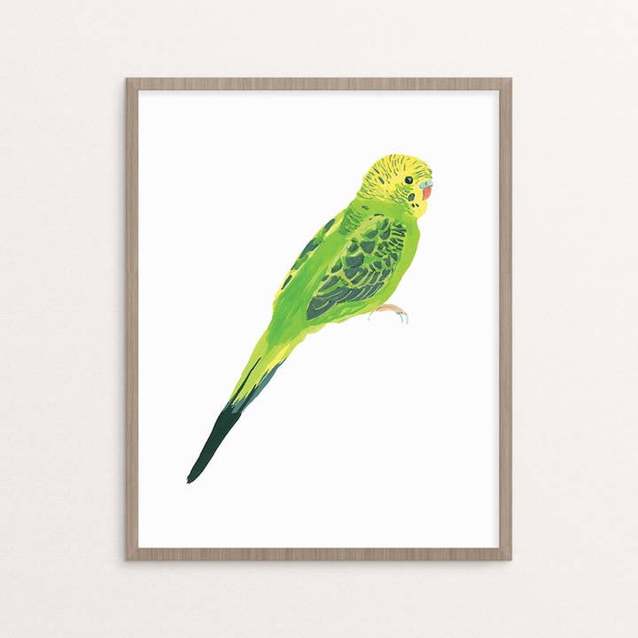 Green Parakeet Budgie Bird Illustration Giclee Print for wholesale by Stephanie Missan Studio