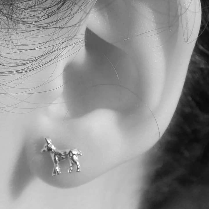 Semaki & Bird - Wholesale Stud/Post Earrings - Donkey Earrings - sterling silver Natural History