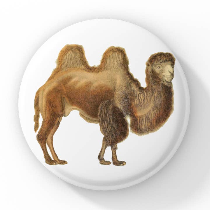 Camel Pin Button, Camel Keychain, Camel Magnet for wholesale by NatureCuts