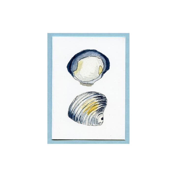 Quahog Enclosure Card for wholesale by Zucchini Fish