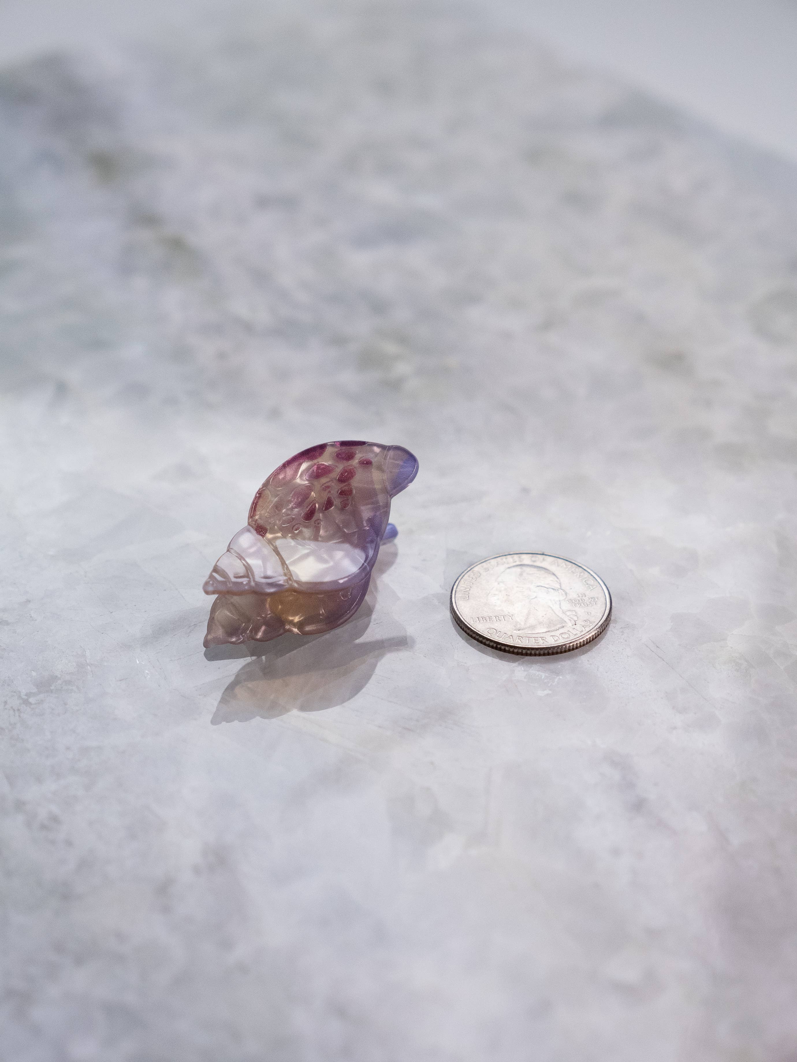 Haven - Wholesale Hair Clip - Women's - Eco Friendly Seashell Hair Clips, Mini5