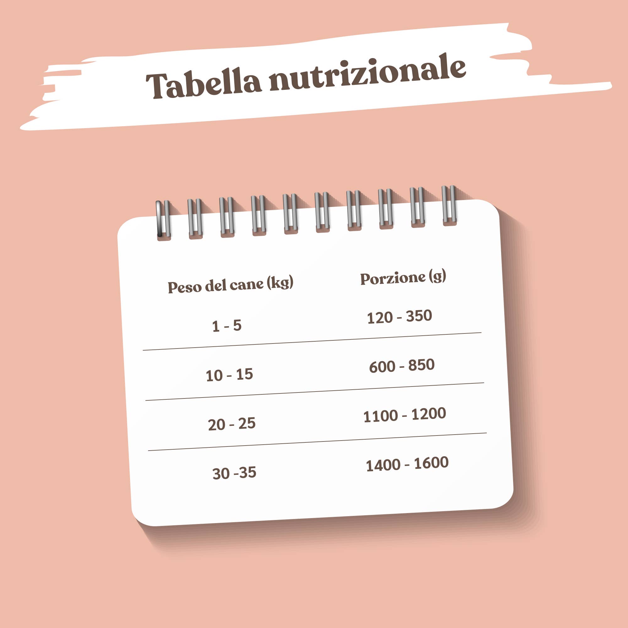 Pettech S.r.l. – Großhandel Tiernahrung – Hund – Schweinefleischragout mit Erbsen für ausgewachsene Hunde3