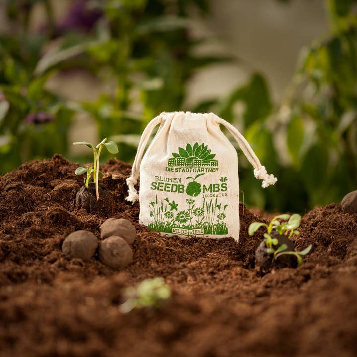 Seed Bombs - Wild Meadow for wholesale by TDJ Stadtgärtner GmbH