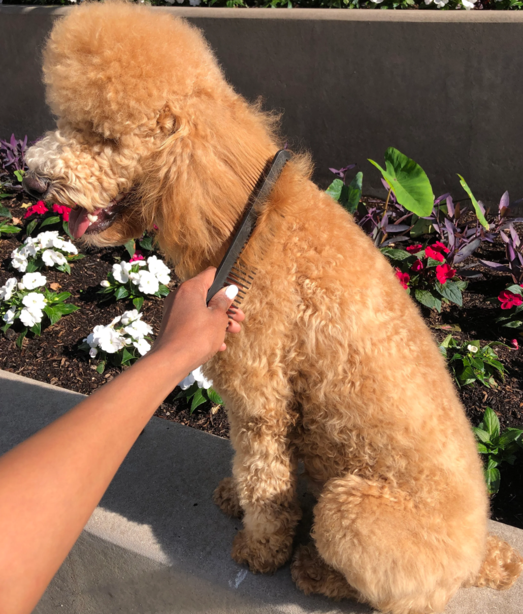 Chicago Comb Co. - Wholesale Pet Brush - Cat/Dog - The Pet Comb8