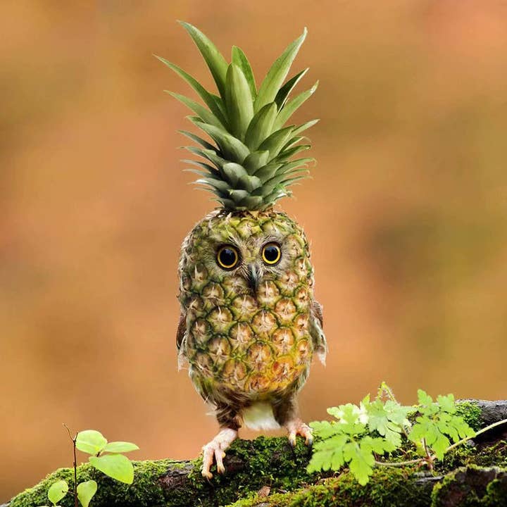 BuddhAayurveda – wholesale Outdoor ornament/decor – Halloween Owl Decor - Resin Decorations - Halloween