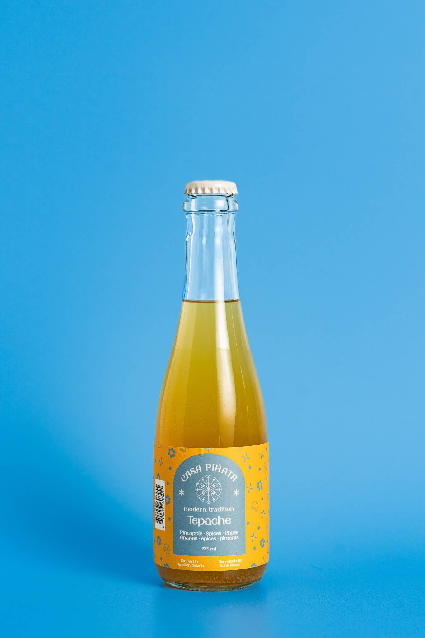 Casa Piñata - Wholesale Non-Alcoholic Aperitif/Mocktail - Tepache Mocktail0