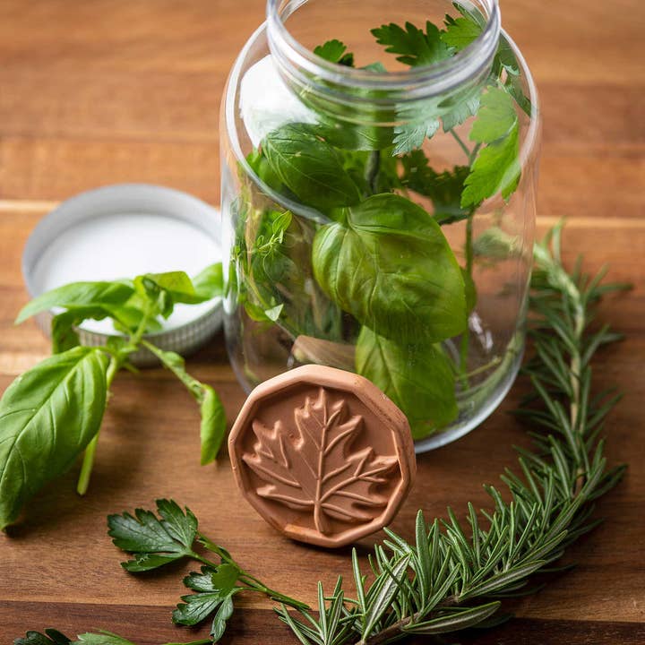 TableCraft Products Company - Wholesale Kitchen Tool/Gadget - Brown Sugar Saver7