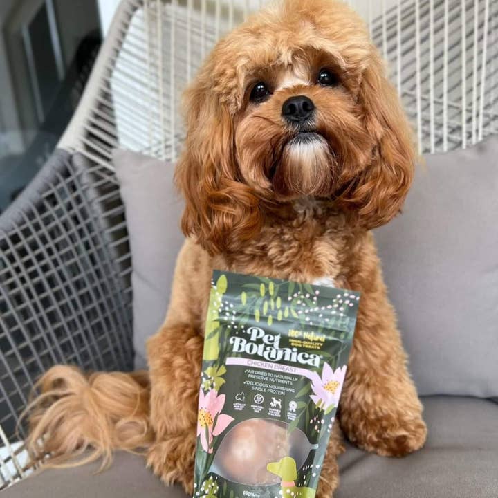 Pet Botanica - Wholesale Pet treats – Dog - Chicken Breasts Dog Treats | Healthy Pet Treats Australian4