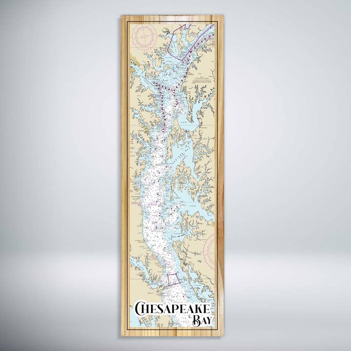 Carte panoramique de la NOAA de la baie de Chesapeake pour la vente par Fire & Pine