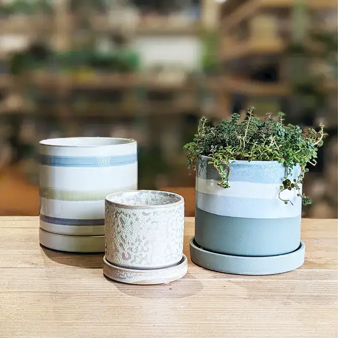 Chive UK - Wholesale Plant Pot - Minute - Glazed Modern Ceramic Pot with Saucer42