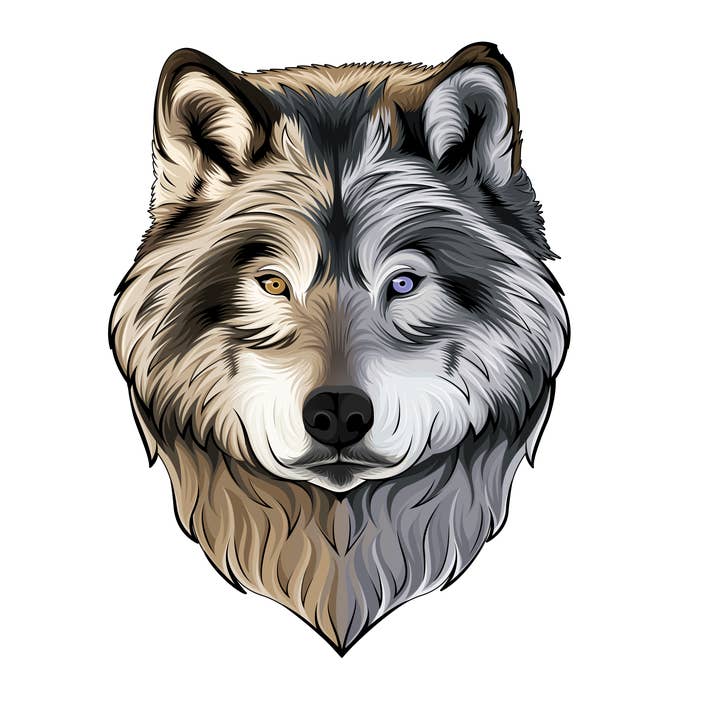 Djur Mini Klistermärke - 50 Vargansikte Klistermärken för wholesale av Aurora Stickers