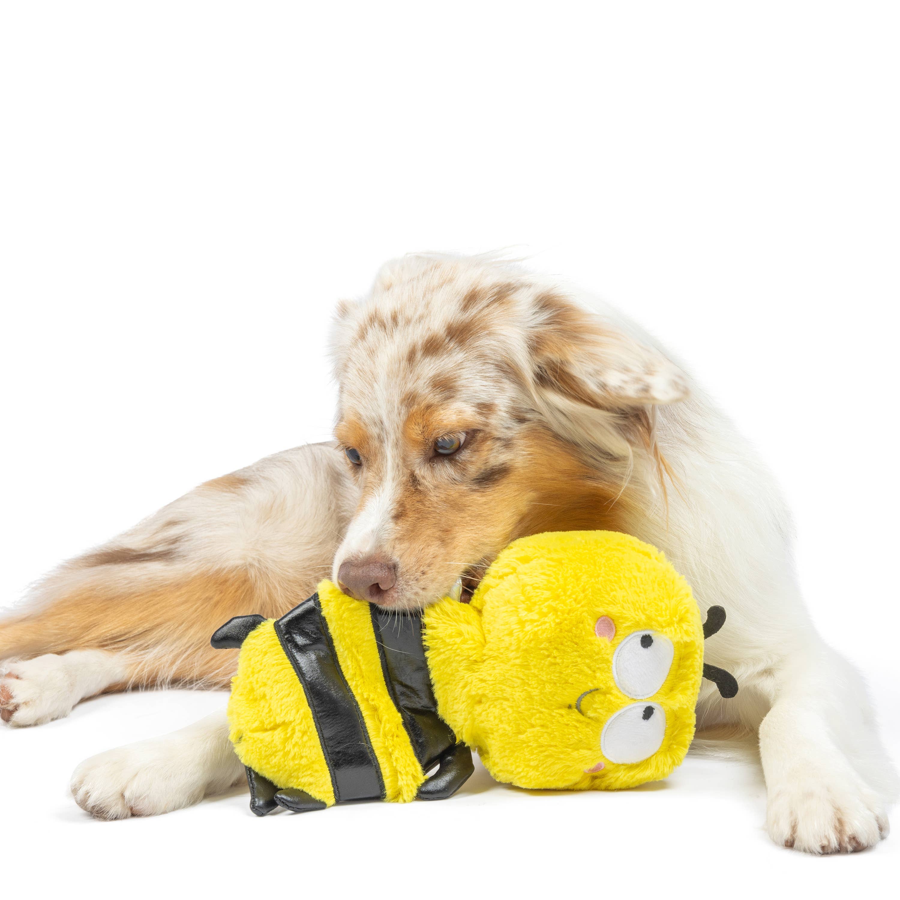 Huxley & Kent - Wholesale Pet Plush Toy - Dog - Slappies® Buzz Bee Dog Toy1