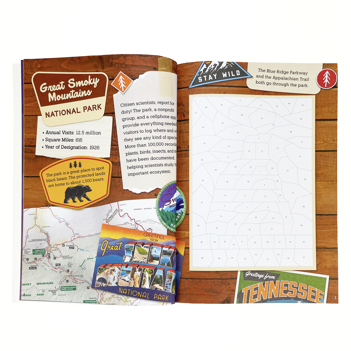 Cottage Door Press - Wholesale Sticker - Kids & Baby - National Parks: Sticker-by-Number Activity Book2